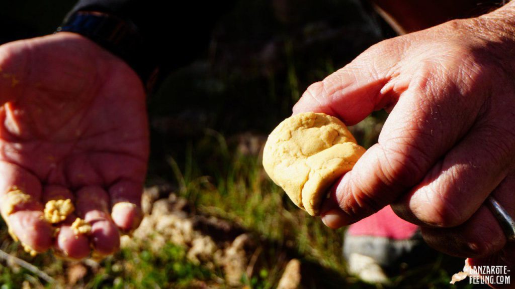 Gofio - kleiner Snack auf Wanderung